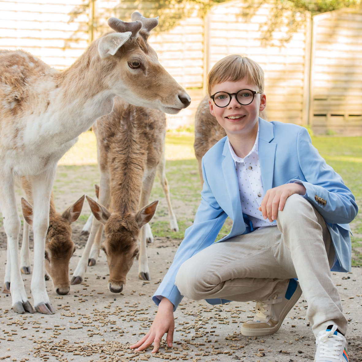 Dierenfotografie in de studio bij Fotostudio Smitz in Eeklo