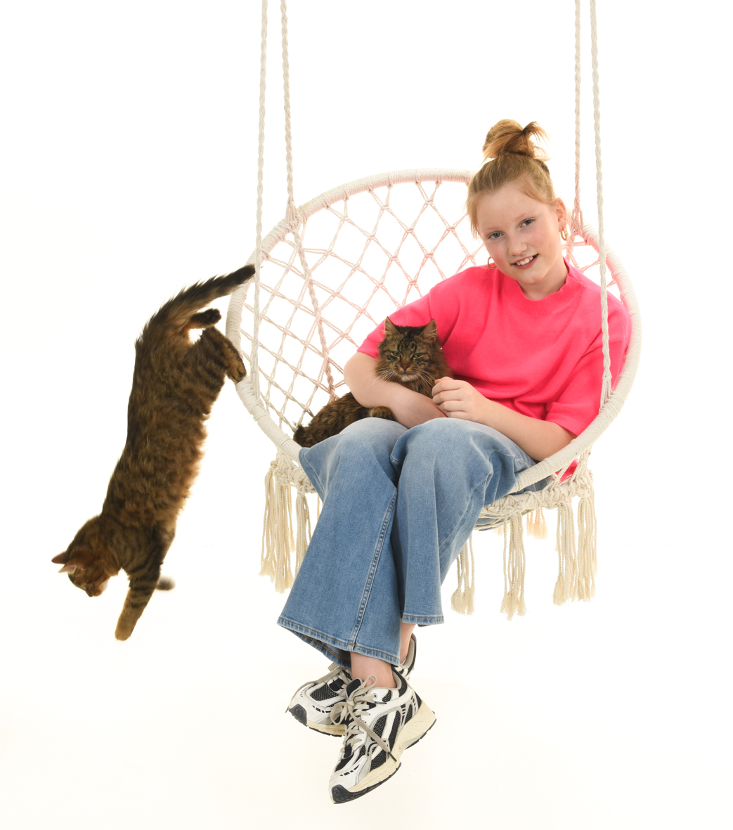 Dierenfotografie in de studio bij Fotostudio Smitz in Eeklo