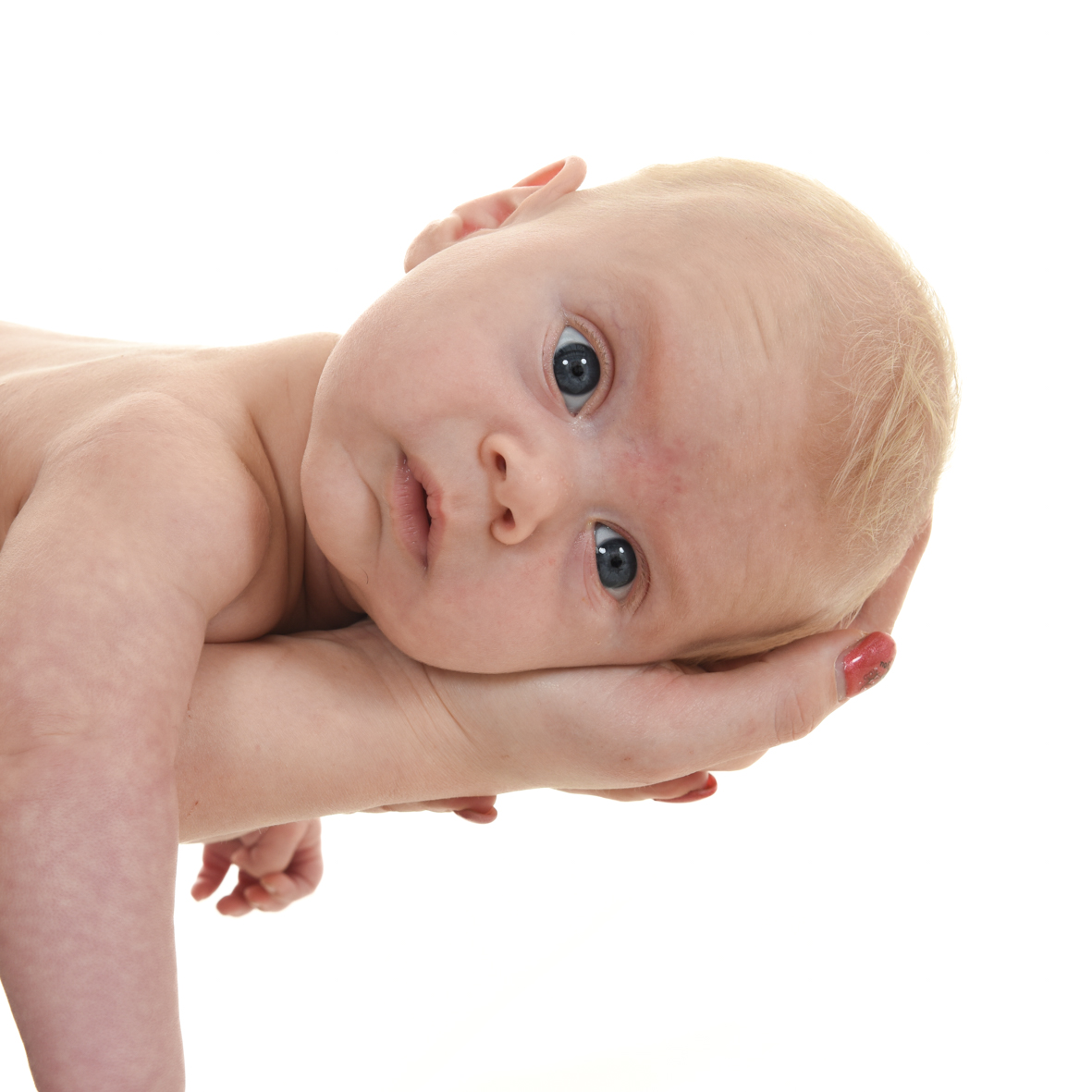 Newborn- en zwangerschapsfotografie in de studio bij Fotostudio Smitz in Eeklo
