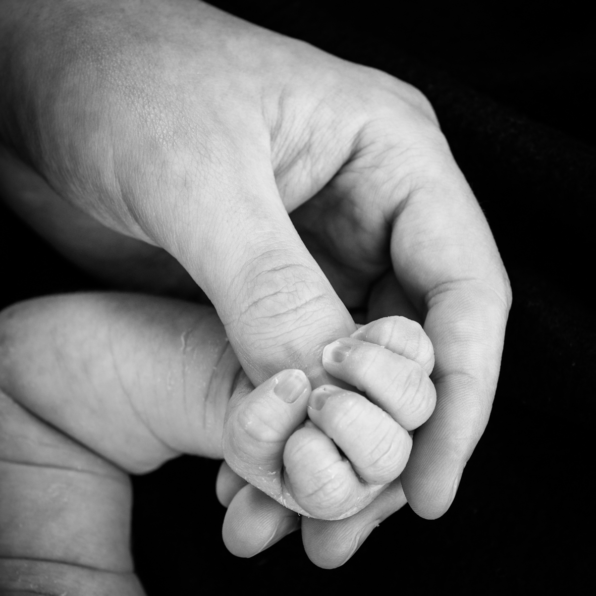 Newborn- en zwangerschapsfotografie in de studio bij Fotostudio Smitz in Eeklo