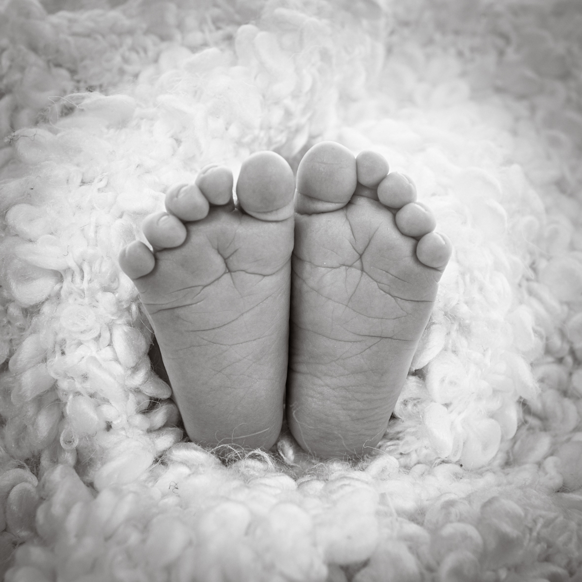 Newborn- en zwangerschapsfotografie in de studio bij Fotostudio Smitz in Eeklo