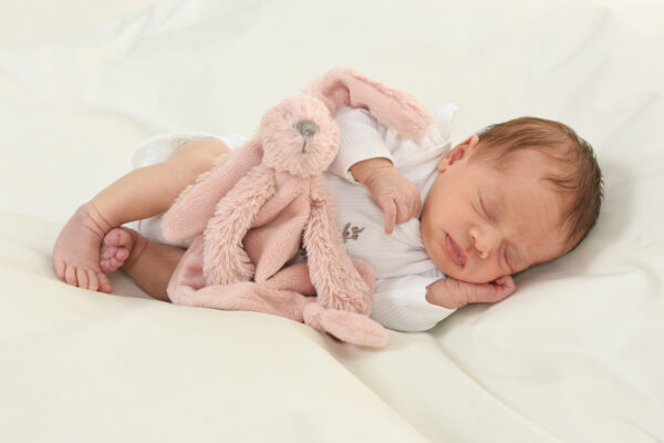 Newborn- en zwangerschapsfotografie in de studio bij Fotostudio Smitz in Eeklo