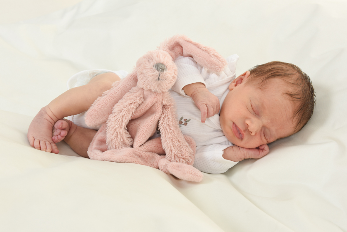 Newborn- en zwangerschapsfotografie in de studio bij Fotostudio Smitz in Eeklo