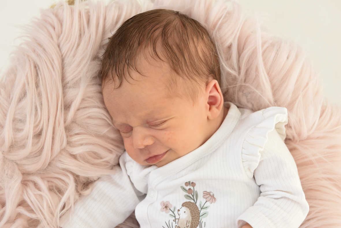 Newborn- en zwangerschapsfotografie in de studio bij Fotostudio Smitz in Eeklo
